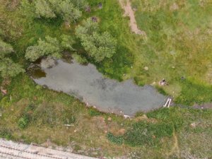 Dünyada tekti, ikizi çıktı