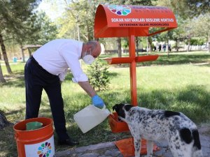 Kocasinan’da hayat tüm canlılar için değerli