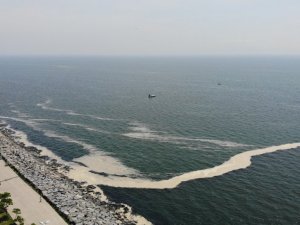 Müsilaj Avcılar sahilinde de görüldü