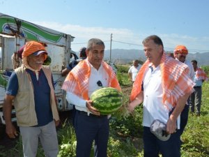 Başkan Kaplan’dan ‘Cincin Karpuzu’ için markalaşma hamlesi