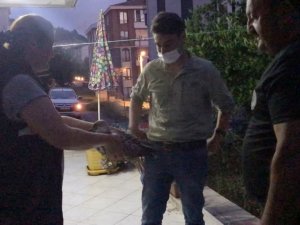 Yaralı martı tedavi altına alındı
