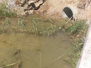 Bodrum’da kuruyan dereden akan su merak konusu oldu