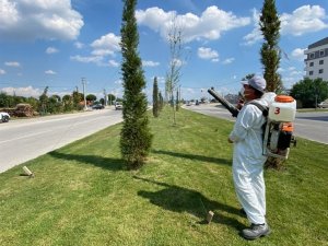 Mantari hastalığı ile mücadelede yüzde 95 başarı