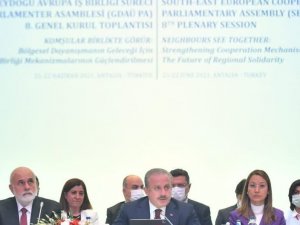 Arnavutluk Parlamentolar Arası Dostluk Grubu Başkanı ve AK Parti Edirne Milletvekili Aksal: