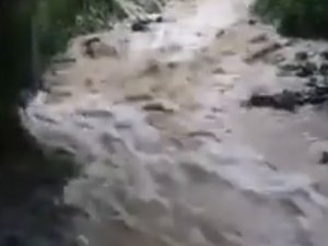 Devrek’te sel bahçe ve seraları vurdu