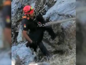 Kayalıklarda mahsur kalan oğlak kurtarıldı