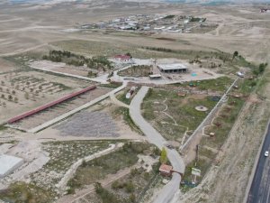 ‘Anadolu Aslanı’ bu çiftlikte korunacak