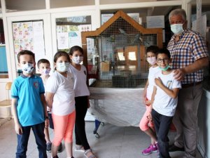 Hayvanat bahçesi gibi okul