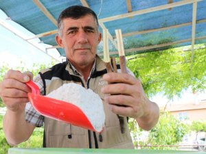 Maden tozuyla ağaç aşılamasından yüzde yüz verim aldı