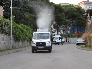 Kartal’da uçkun ve sivrisinekle mücadelede ilaçlama çalışmaları başladı