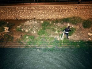 Derede mahsur kalan kedi ile kirpi kurtarıldı