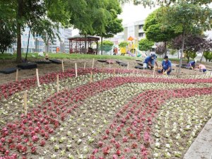 Atakum’un parklarına 30 bin çiçek