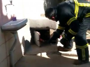 Yılan, kaçacak yer bulamayınca itfaiye erinin üzerine atladı