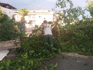 Nazilli Belediyesi’nden anında müdahale