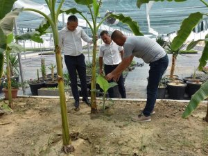 Öztürk’ten büyükşehir serasına tam not