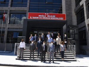 Başarılı çalışmalar imza atan Tarım İl Müdürlüğü, Vali Tavlı’yı ağırladı