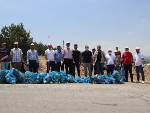 Sivas ormanına Rizeli eli değdi