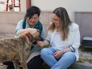 Badem ve Oli, Keçiören Belediyesinin maskotu oldu
