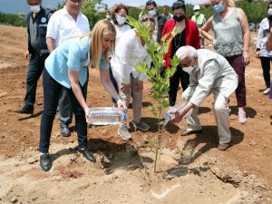 Köy Enstitülerinin mimarı İsmail Hakkı Tonguç anısına hatıra ormanı oluşturuldu