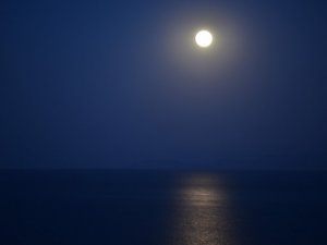 Van Gölü’ndeki yakamoz hayran bıraktı