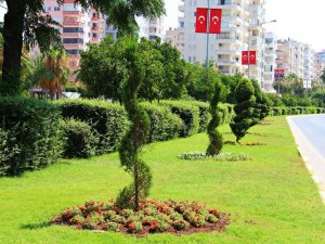 Mersin Kentsel Açık ve Yeşil Alanlar Stratejik Eylem Planı hazırlanıyor