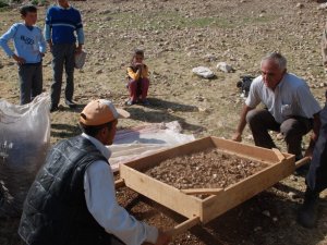 Kopartılmasının cezası 80 bin lira olan endemik kardelen bitkisinin kozmetik ve sağlık sektörü için sökümü başladı