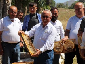 TAB Genel Başkanı Şahin: "Arıların sigortasını attırmayın"
