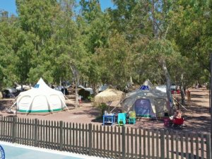 Aydın’da alternatif turizmde yeni rota: "Ada Camping"