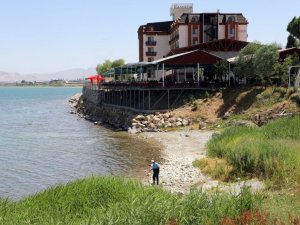 Van Büyükşehir Belediyesinin erken tedbiri sinek popülasyonunu azalttı