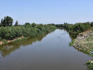 Söke Ovası’nın can damarı Büyük Menderes suya kavuştu
