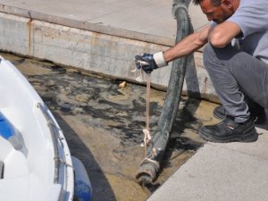 Tuzla’da müsilaj temizleme çalışmaları devam ediyor