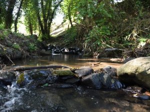 Damlar Vadisi Millet Bahçesi ilçeye kazandırılıyor