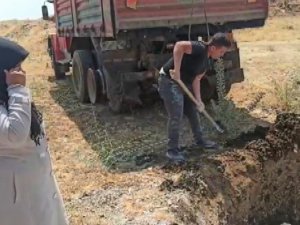Kahramanmaraş’ta telef olan binlerce tavuk çukura gömüldü