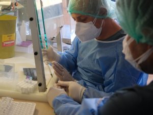 Sinovac’da 3’üncü ay sonuçları: Antikor düşse de hastalanan kişi sayısı yüzde 2’lerde kaldı