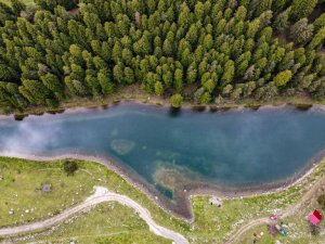 Havadan balığı andıran görüntüsü ile ilgi çekiyor
