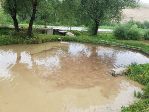 Gürün’de sel, tonlarca alabalık kayıp