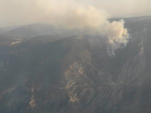 Tarsus’taki orman yangınında soğutma çalışması devam ediyor