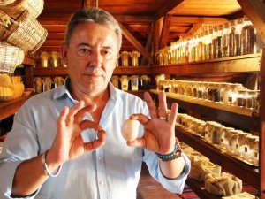 Yumurtlayan horoz şaşkına çevirdi