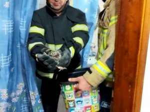 Baykuş evin küvetine yavruladı