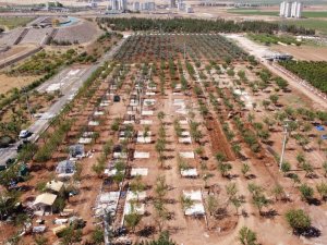 “Hobi bahçesi” projesinde sona yaklaşılıyor