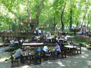 Dağılcak Tabiat Parkı doğa tutkunlarının akınına uğradı