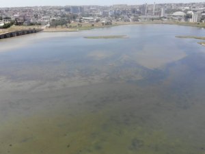 Kirlilik nedeniyle Büyükçekmece Gölü’nün rengi değişti