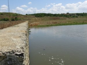 Ömerli Barajında ölen balıklar iş makineleriyle toprağa gömülüyor