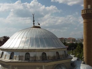 Yuvadan düşen yavru leyleği itfaiye ekipleri kurtardı