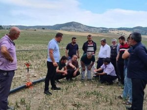 Çorum’da tarım alanlarını dolu vurdu