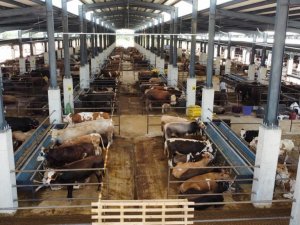 İnegöl’ün tarım yatırımlarına tam not