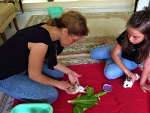 Anne-kızın çabası minik tavşanı yaşatmaya yetmedi