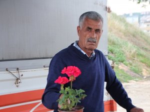 Korona sayesinde balkonlar bahçeye dönüştü