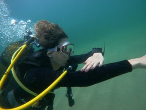 Marmara Denizi salyasıyla kaplandı, rotalar Karadeniz’e çevrildi