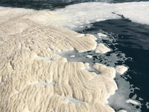 ÇATES’in kimyasalları denize döktüğü iddiası